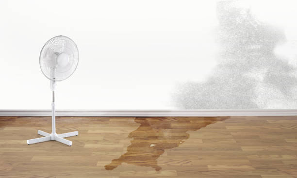 Best Emergency water damage restoration  in Cooper, TX