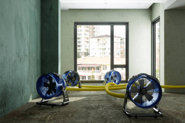 Best Professional water damage repair  in Cooper, TX